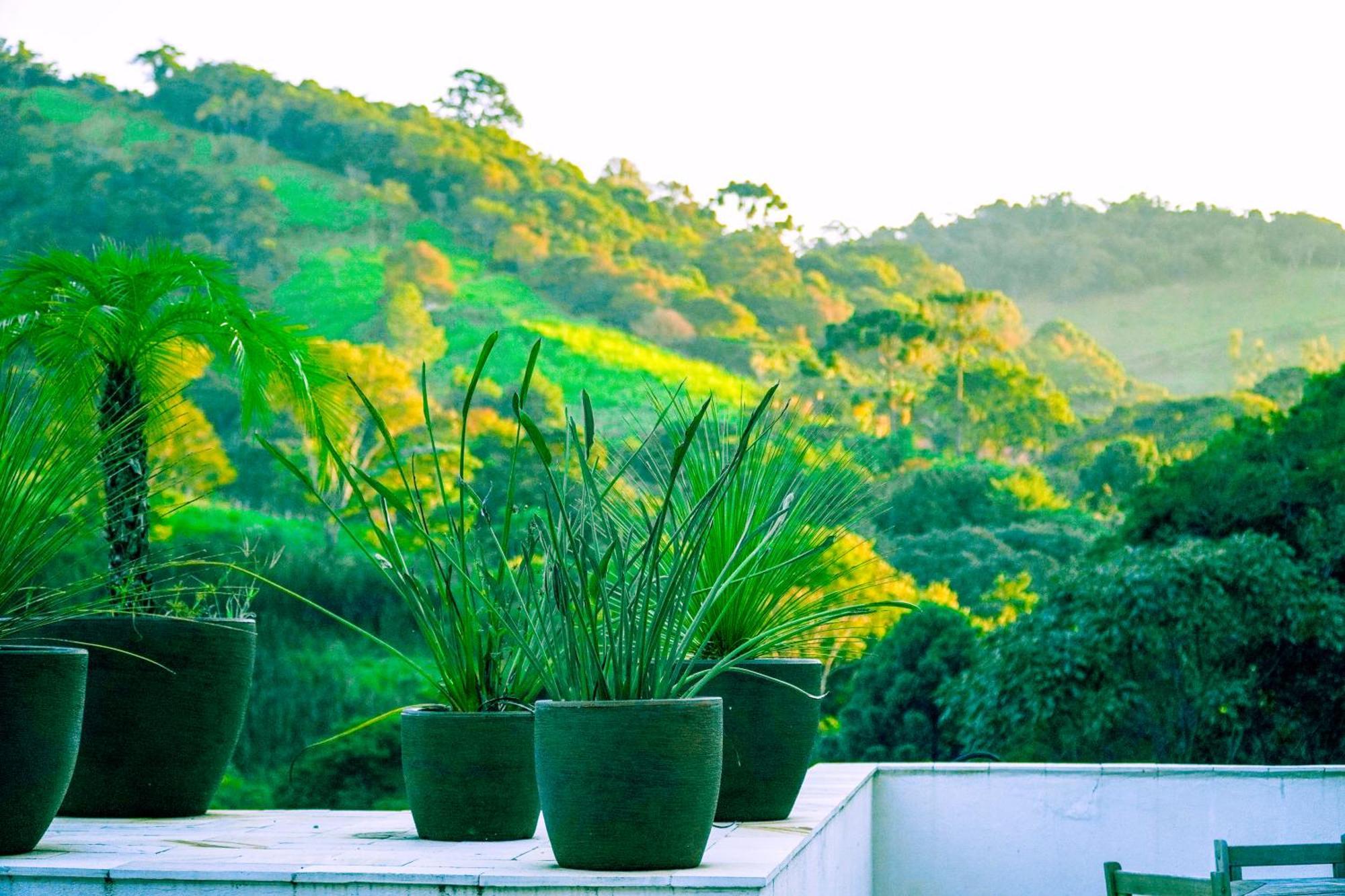 Pousada Highland Santo Antonio do Pinhal Bagian luar foto