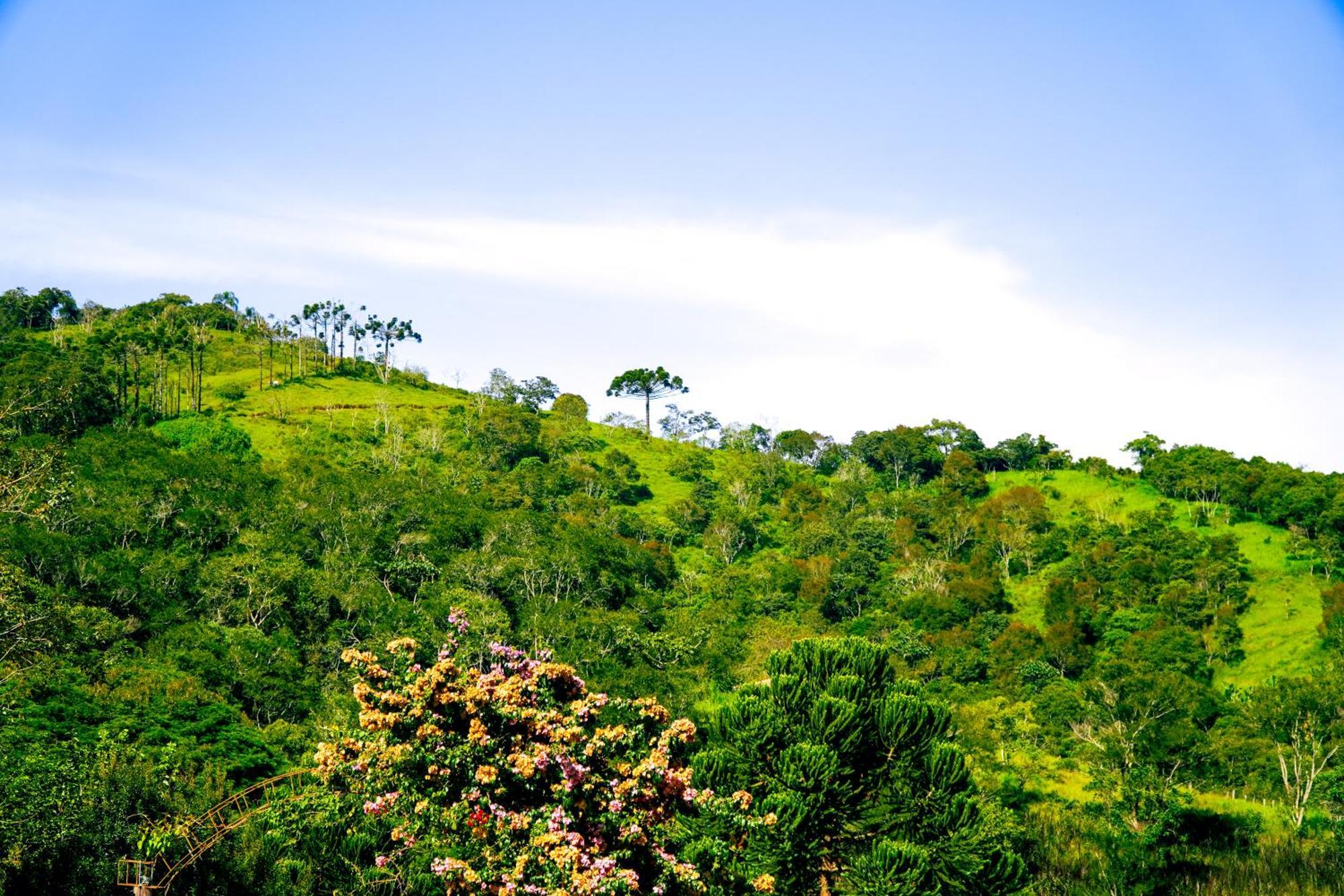 Pousada Highland Santo Antonio do Pinhal Bagian luar foto